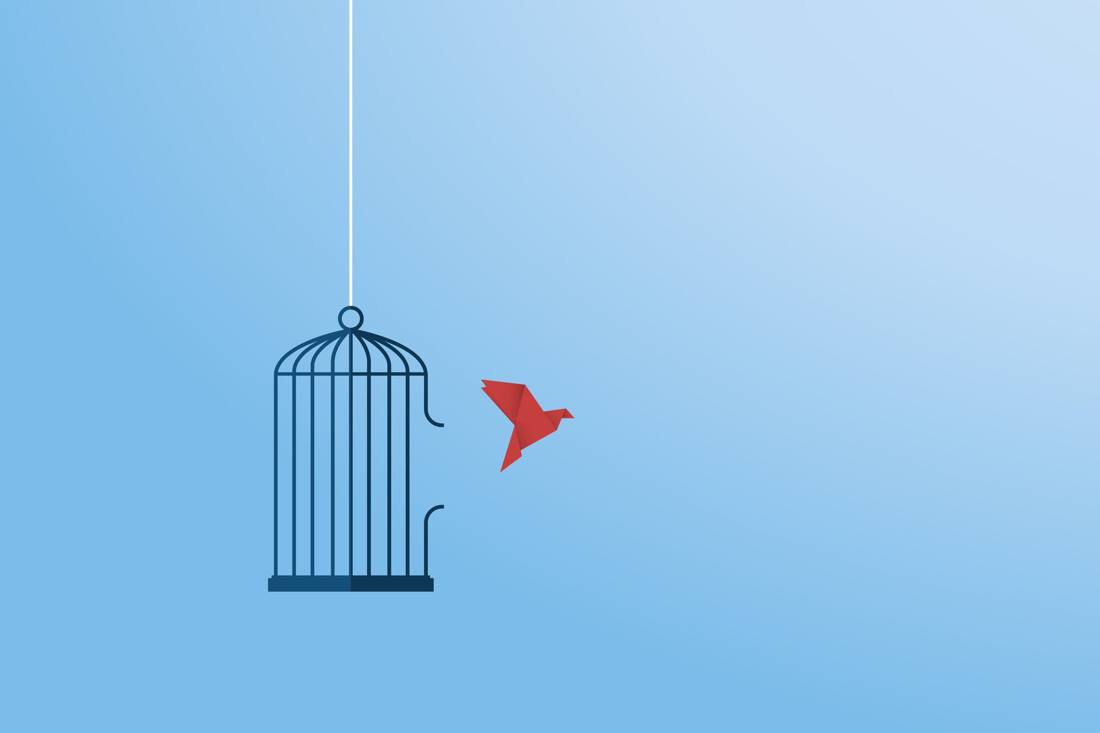Jaula abierta y pájaro de origami saliendo · Más allá de la libertad®